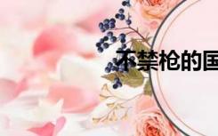 不禁枪的国家（不禁）