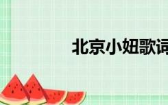 北京小妞歌词（北京小妞）