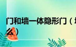门和墙一体隐形门（墙面一体隐形门做法是什么）