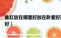 鱼缸放在哪里好放在卧室好还是放在客厅好（鱼缸放在哪里好）