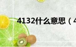 4132什么意思（4133 是什么意思）