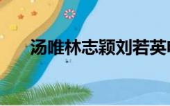 汤唯林志颖刘若英电影（刘若英电影）