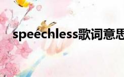 speechless歌词意思（speechless歌词）