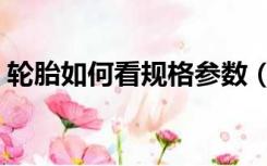 轮胎如何看规格参数（轮胎规格参数怎么看）