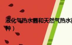 液化气热水器和天然气热水器哪个省钱（液化气热水器买哪种）