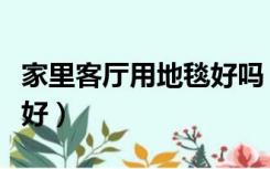 家里客厅用地毯好吗（家用客厅地毯什么材质好）