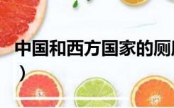 中国和西方国家的厕所文化（厕所在西方好吗）