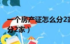 一个房产证怎么分2家农村（一个房产证怎么分2家）