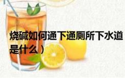 烧碱如何通下通厕所下水道（烧碱通下水道的正确使用方法是什么）