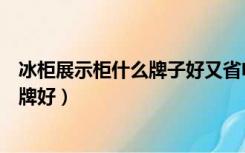 冰柜展示柜什么牌子好又省电质量又好（冰柜展示柜哪个品牌好）