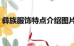 彝族服饰特点介绍图片（彝族服饰特点介绍）