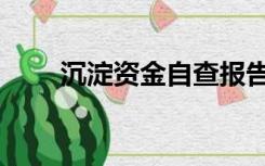 沉淀资金自查报告（资金自查报告）