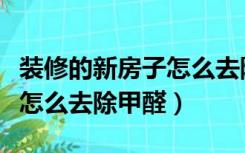 装修的新房子怎么去除甲醛快（装修的新房子怎么去除甲醛）