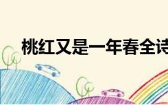 桃红又是一年春全诗（桃红又是一年春）