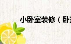 小卧室装修（卧室太小怎么装修）