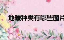 地暖种类有哪些图片（地暖种类有哪些）