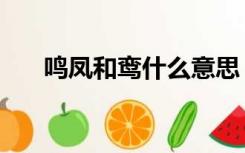 鸣凤和鸾什么意思（鸾凤和鸣的意思）