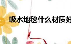 吸水地毯什么材质好（地毯什么材质好）