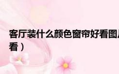 客厅装什么颜色窗帘好看图片大全（客厅装什么颜色窗帘好看）