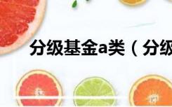 分级基金a类（分级基金a是什么意思）