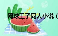 网球王子同人小说（网球王子同人小说）