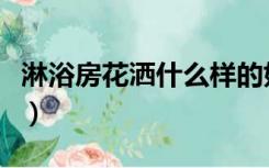 淋浴房花洒什么样的好（淋浴屏和花洒哪个好）