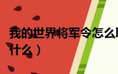 我的世界将军令怎么取消（我的世界将军令是什么）