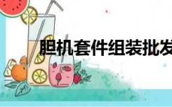 胆机套件组装批发基地（胆机套件）