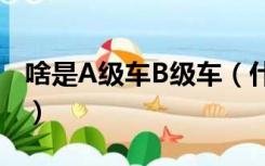 啥是A级车B级车（什么是a级车什么是b级车）