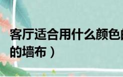 客厅适合用什么颜色的墙布（客厅用什么颜色的墙布）