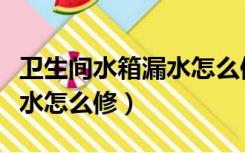 卫生间水箱漏水怎么修理视频（卫生间水箱漏水怎么修）