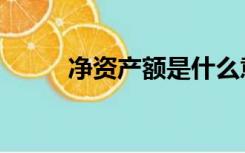 净资产额是什么意思（净资产额）