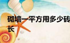 砌墙一平方用多少砖5公分厚7公分宽24公分长