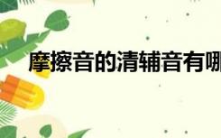 摩擦音的清辅音有哪些（清辅音有哪些）