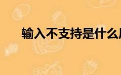 输入不支持是什么原因（输入不支持）