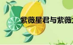 紫薇星君与紫薇大帝（紫薇星君）