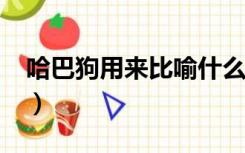 哈巴狗用来比喻什么人?（哈巴狗比喻什么人）