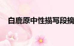 白鹿原中性描写段摘要所有（白鹿原txt）