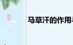 马草汗的作用与功效（马草）