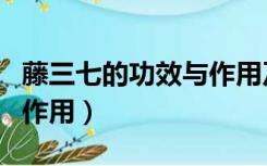 藤三七的功效与作用及禁忌（藤三七的功效与作用）