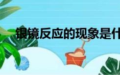 银镜反应的现象是什么（银镜反应现象）