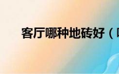 客厅哪种地砖好（哪种地砖适合客厅）