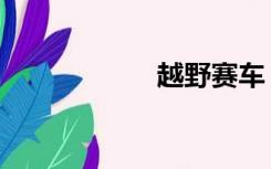 越野赛车（越野赛）