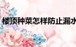 楼顶种菜怎样防止漏水（楼顶种菜如何防水）