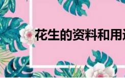 花生的资料和用途（花生的资料）