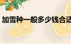 加雪种一般多少钱合适（加雪种一般多少钱）