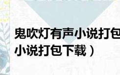 鬼吹灯有声小说打包下载mp3（鬼吹灯有声小说打包下载）