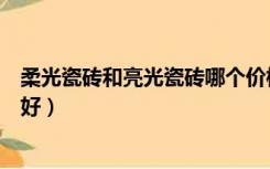 柔光瓷砖和亮光瓷砖哪个价格高（亮光瓷砖和柔光瓷砖哪个好）