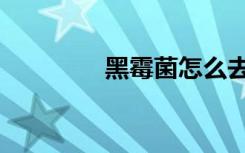 黑霉菌怎么去除（黑霉菌）