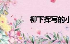 柳下挥写的小说（柳下挥）